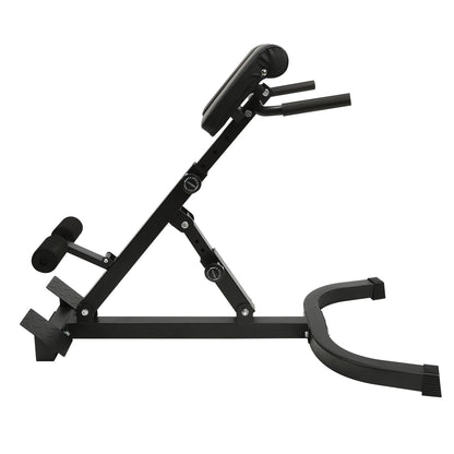 Multi-Functional Exercise Bench