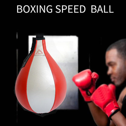 Boxing Speed Bag